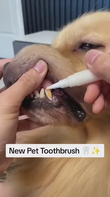 Pet Oral Repair Gel Care Cleaner